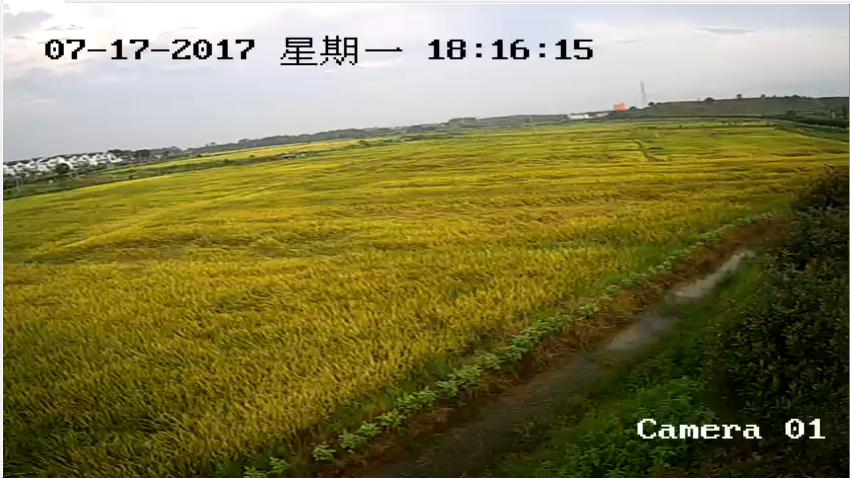 云南哈尼梯田景区监控摄像头 实现手机微信直播