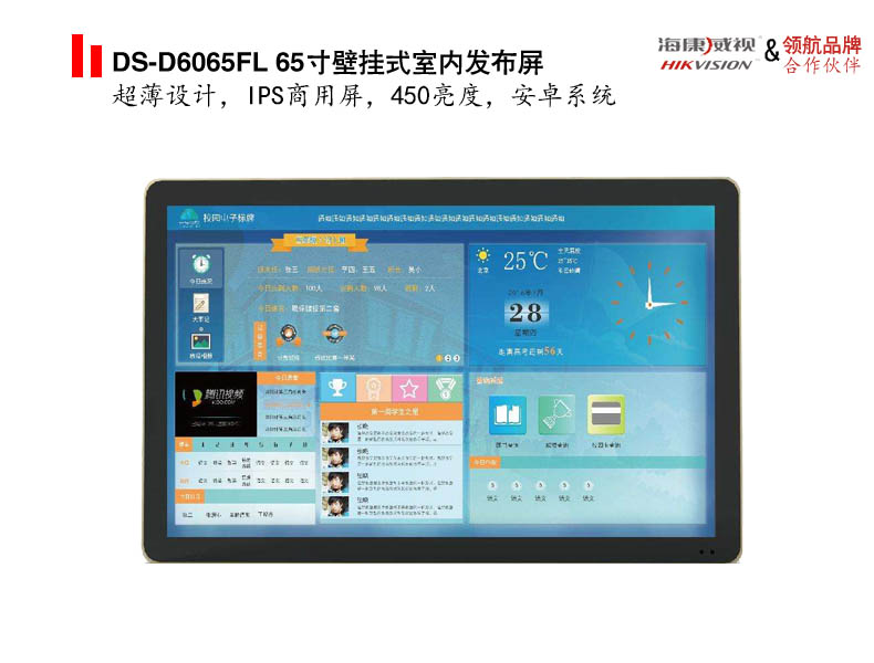 DS-D6065FL 65寸壁挂式室内发布屏