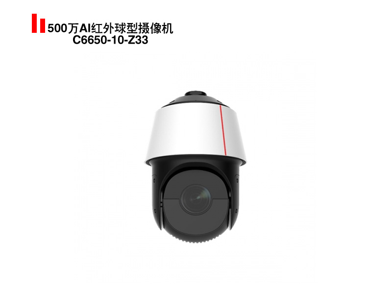 500万AI红外球型摄像机C6650-10-Z33